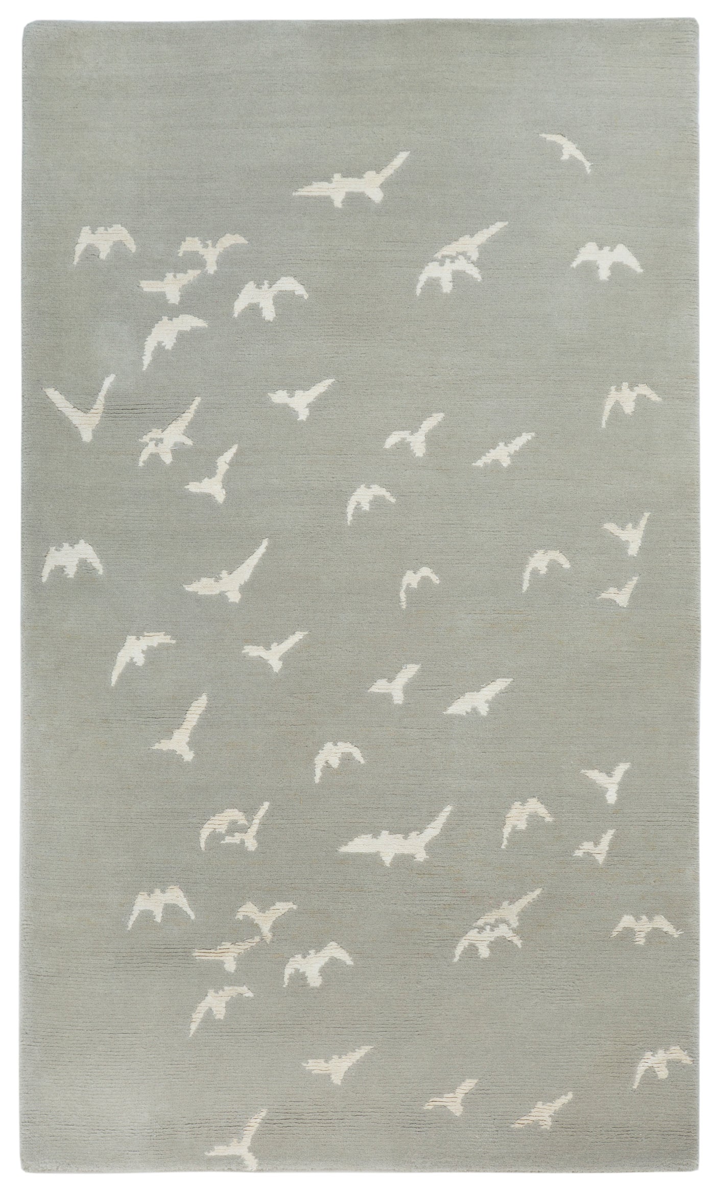 Birds by Amy Kent